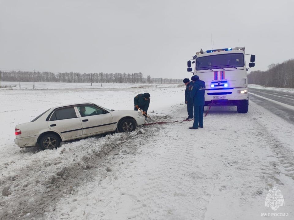    Спасение автомобилиста в Алтайском крае. Источник: ГУ МЧС России по Алтайскому краю