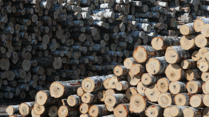    Фото: ИЗВЕСТИЯ/Алексей Майшев