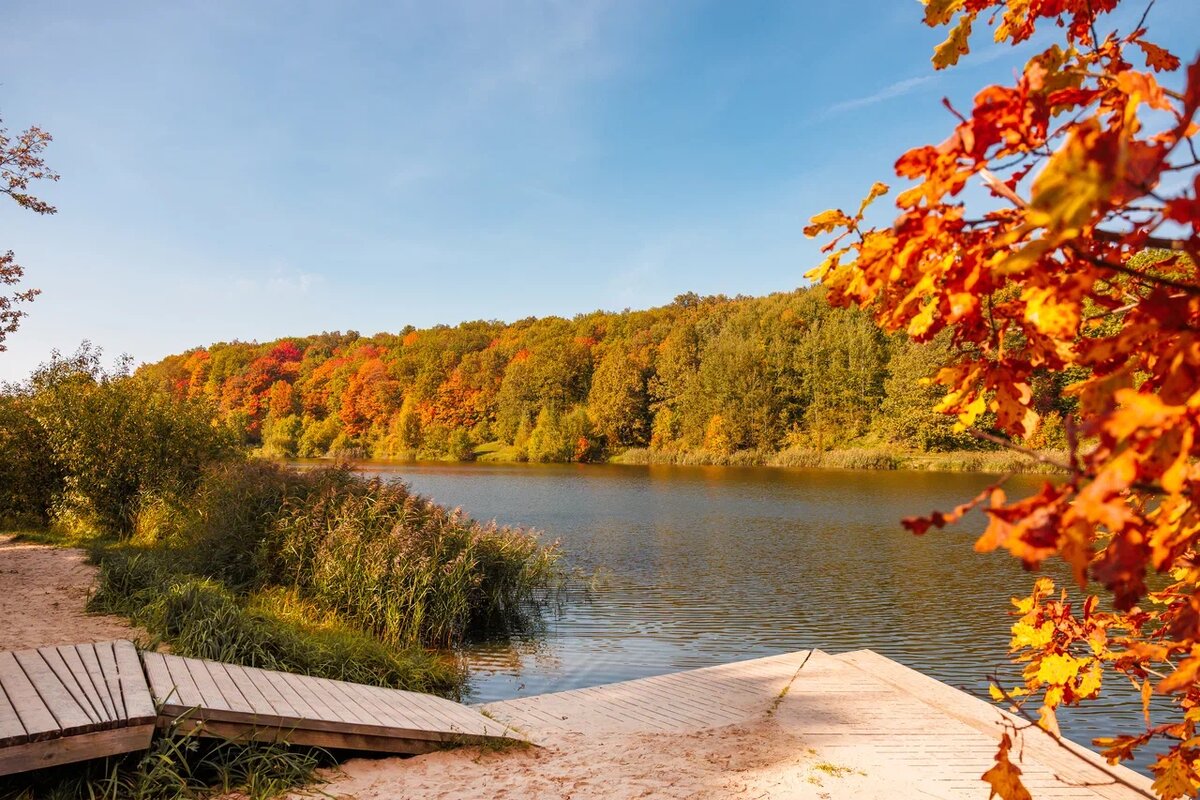 Осенний пейзаж на Щёлоковском хуторе. Фото: Никита Духник