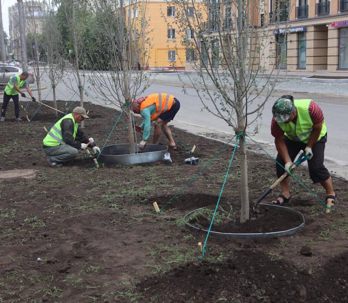    Фото: Администрация Новосибирска, источник: novo-sibirsk.ru