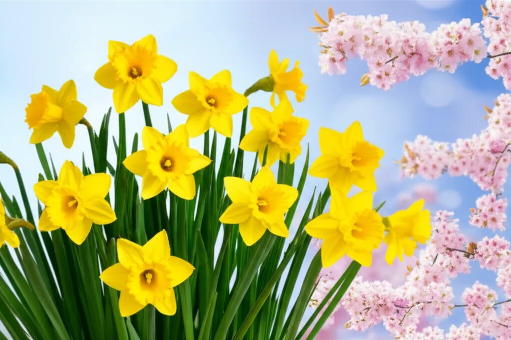    Как по-немецки весна Михаил Обзоров