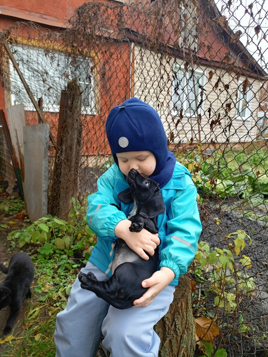 11 ноября 2025 года