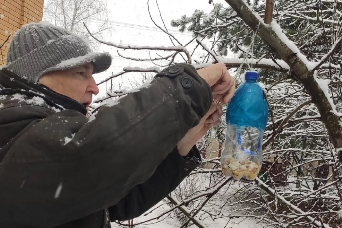    Современный Синичкин день — это прежде всего праздник экологии, который был официально установлен по инициативе Союза охраны птиц России.