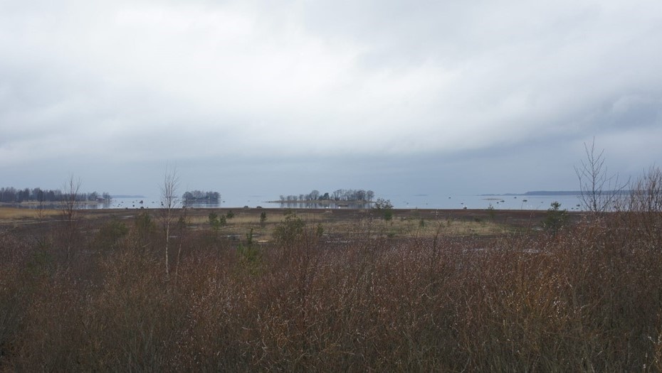 Автор фото: pori.fi. Охраняемые природные участки Natura 2000 в Пори, Финляндия.