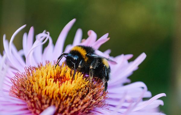 Ita Ankevica/Shutterstock/FOTODOM