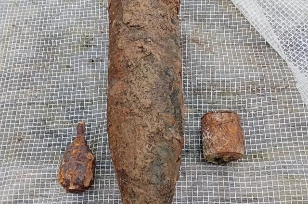    В Зубцовском округе обезвредили две граниты и артиллерийский снаряд