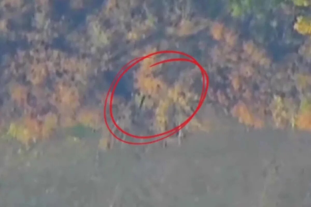    Потери ВСУ — 236 солдат и офицеров и 27 единиц различного вооружения.