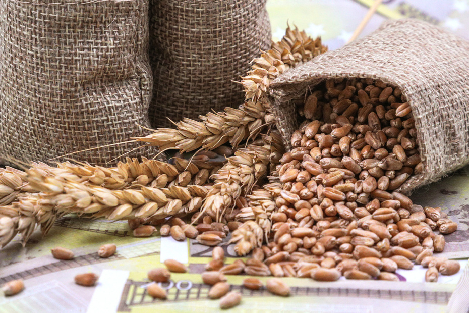    Сергей Булкин/NEWS.ru