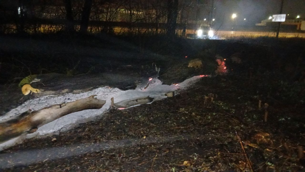 фото: Министерство природных ресурсов Курской области