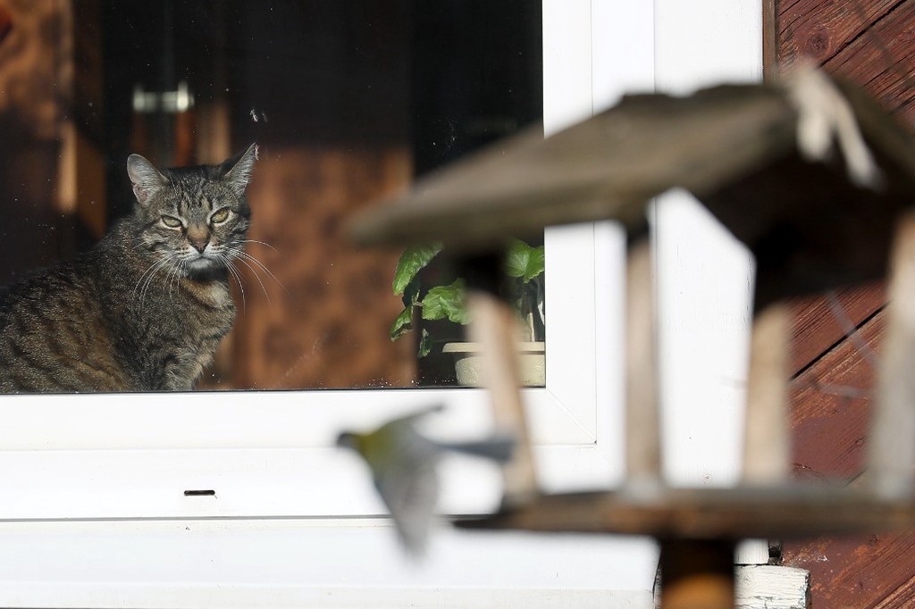    Фото © Владимир Смирнов / ТАСС