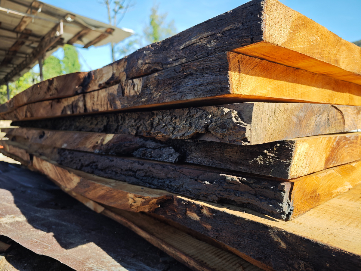 Термированный гималайский кедр