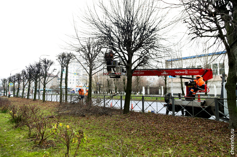    Сегодня сотрудники "Спецавтотранса" начали обрезать деревья на Ленина, 92 Б. Работы пройдут на участке от Сталеваров до Ломоносова, здесь около 180 деревьев