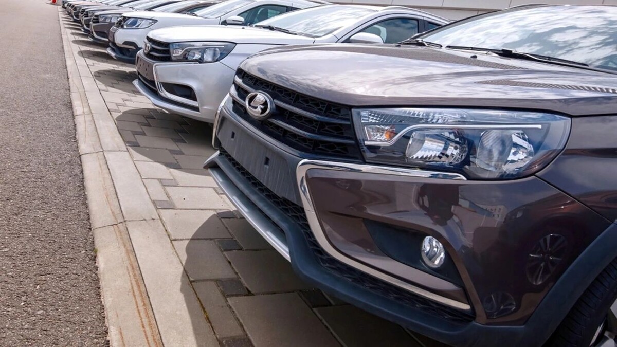    Фото: Tricky_Shark/Shutterstock/Fotodom