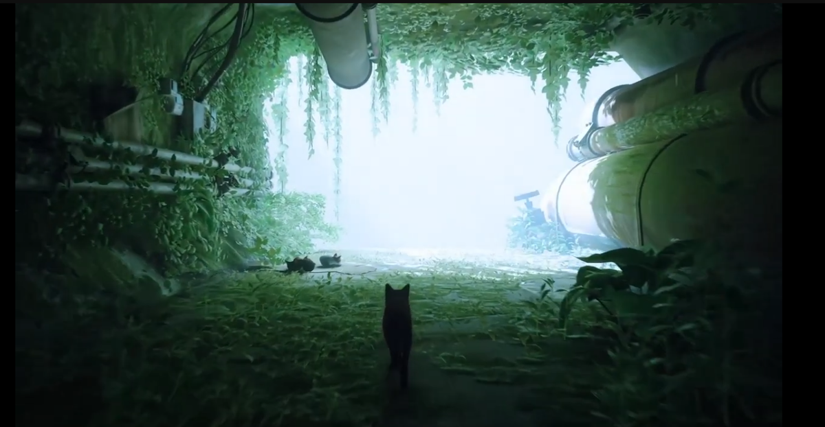 Отправляемся в большой мир!