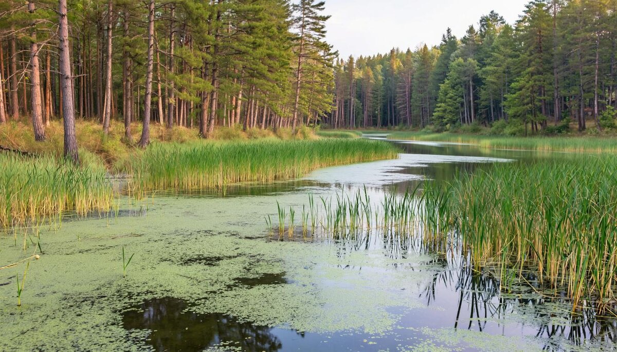 Отличный день для проявленности и презентации, если вы готовы выйти за пределы привычной рутины
