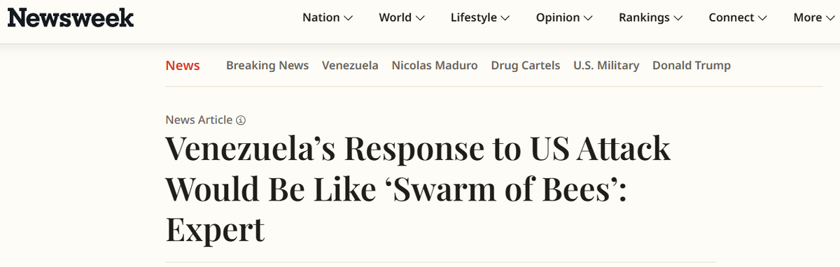 Эксперт: Реакция Венесуэлы на атаку США будет похожа на «рой пчёл»