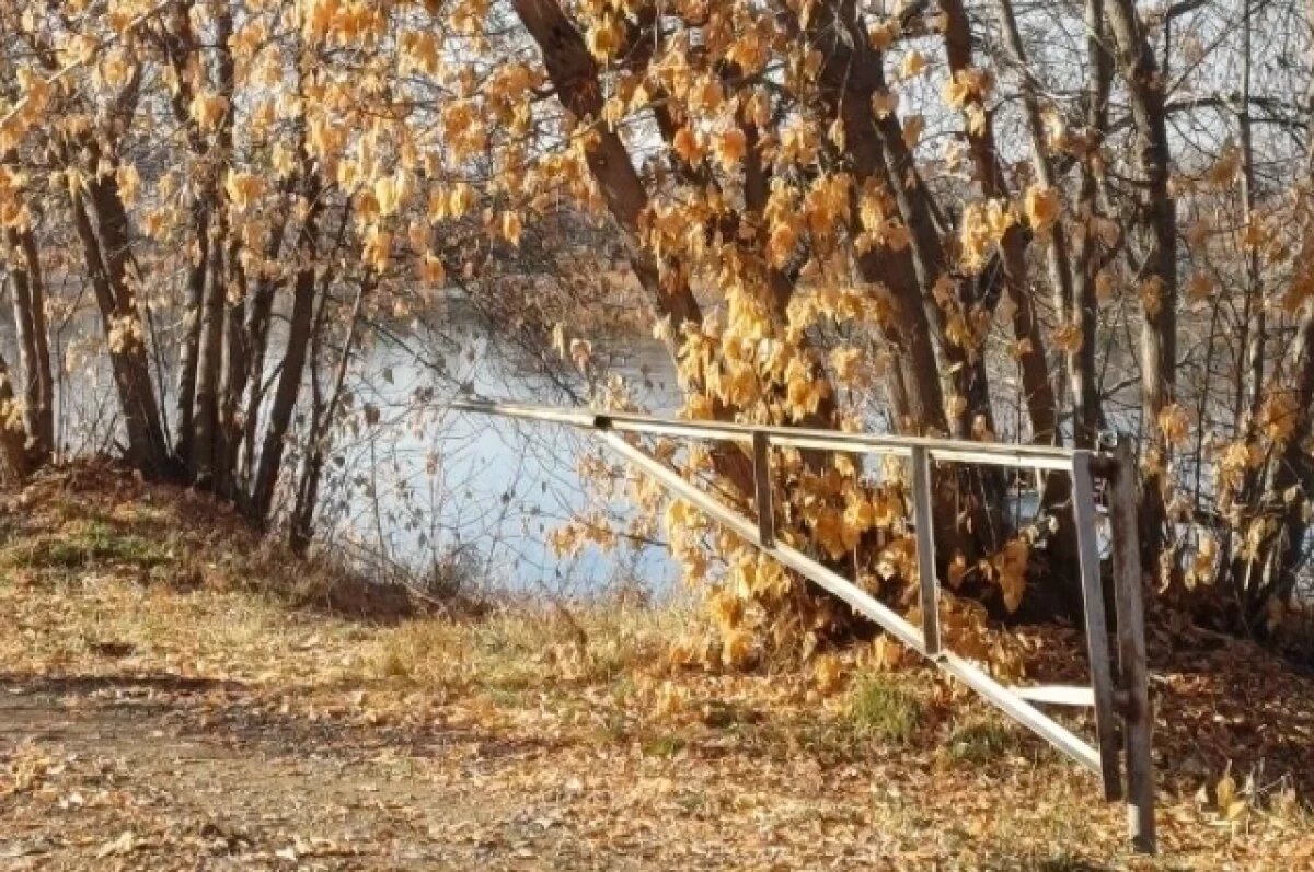   Ноябрь называют воротами в зиму, однако в Иркутске начало месяца было тёплым и солнечным.