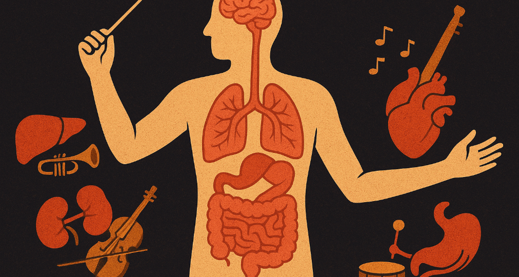 Ваше тело — идеальный механизм: Кто за что отвечает и как сохранить его работоспособность