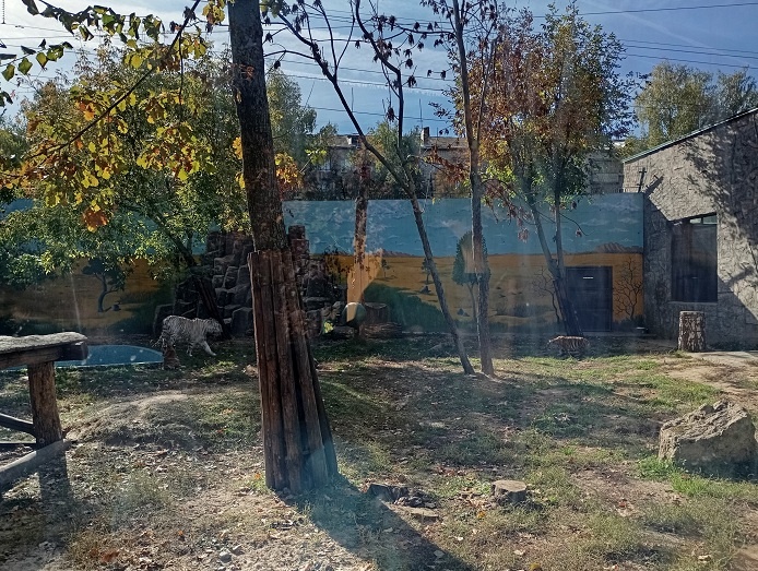 Нижний Новгород, 1 октября 2025