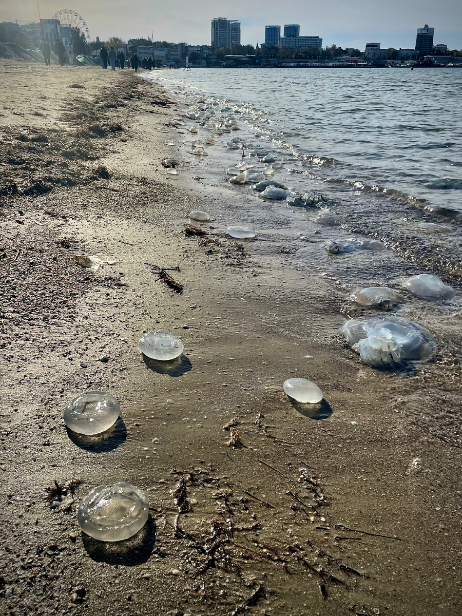 Для многих Анапа - это в первую очередь море! Однако это не так