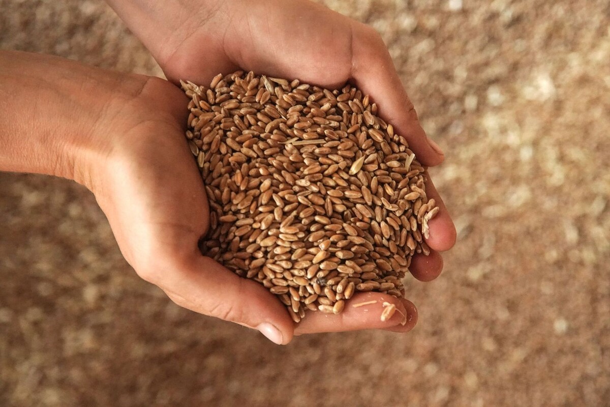     / Источник: © ИЗВЕСТИЯ/Эдуард Корниенко