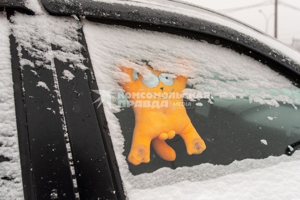    Обратите внимание, не оставил ли владелец свой телефон Михаил ФРОЛОВ