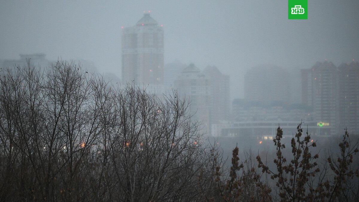    Фото: РИА Новости © 2025, Юрий Кочетков