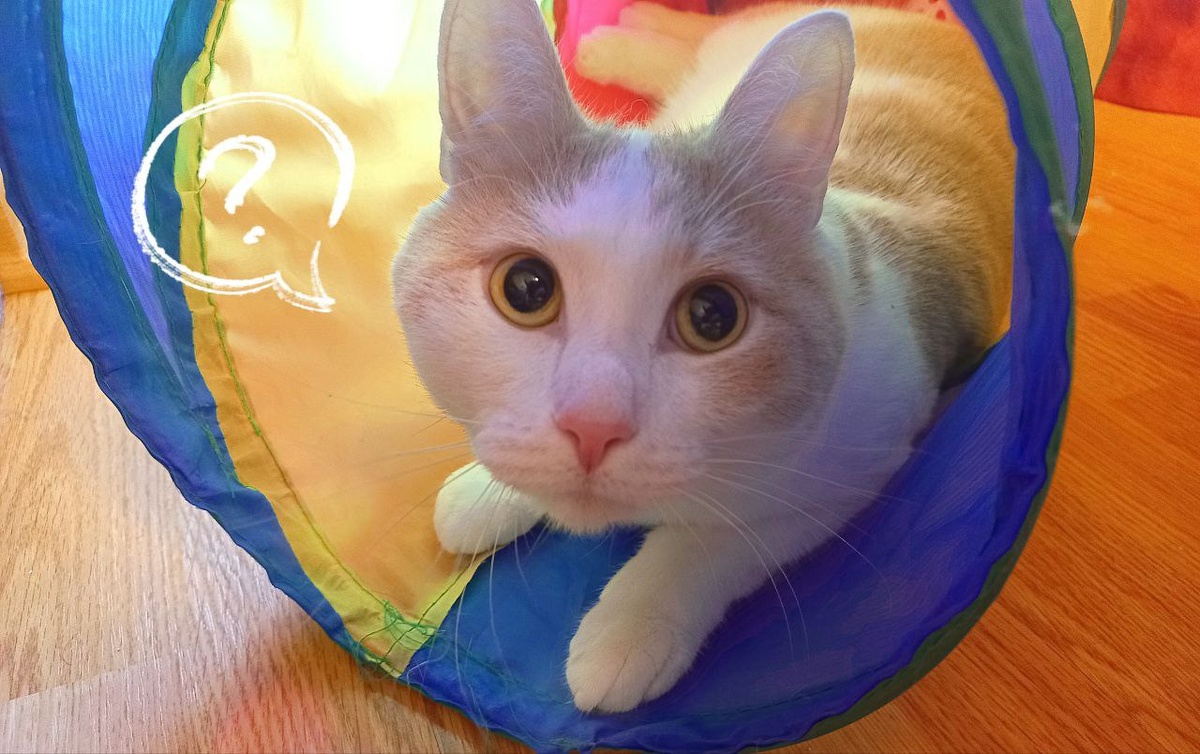 Сканирование...