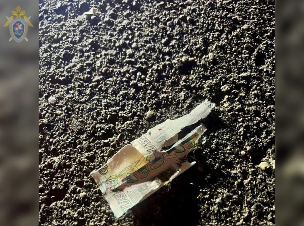    Фото пресс-службы ГСУ СК России по Московской области Газета Колос