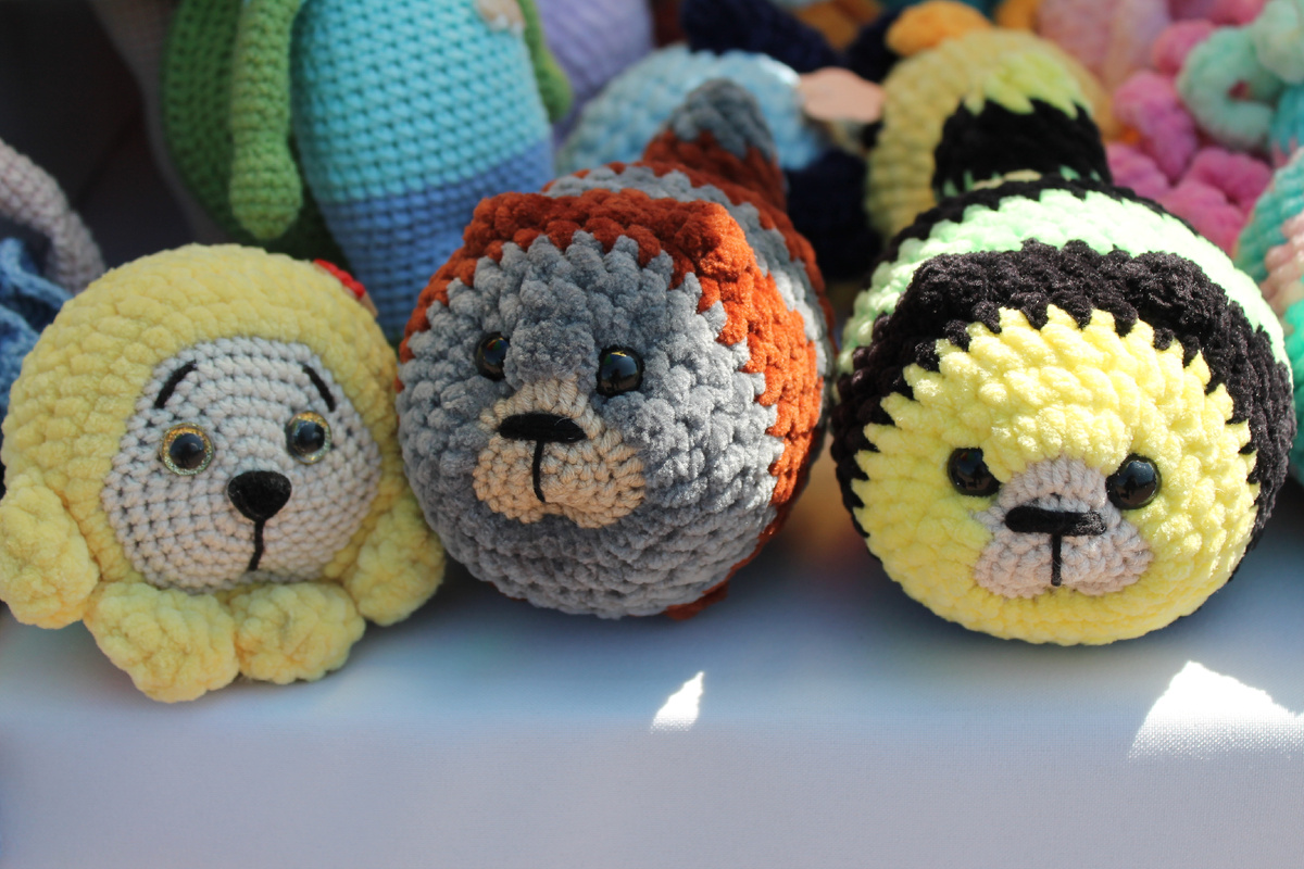 Фото Артема Илошваи, dzen.ru