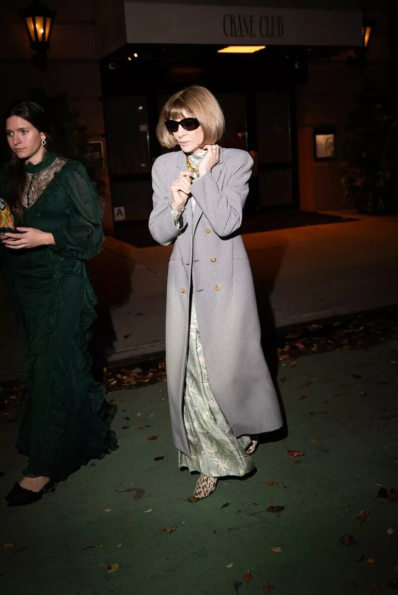 Анна Винтур📷
