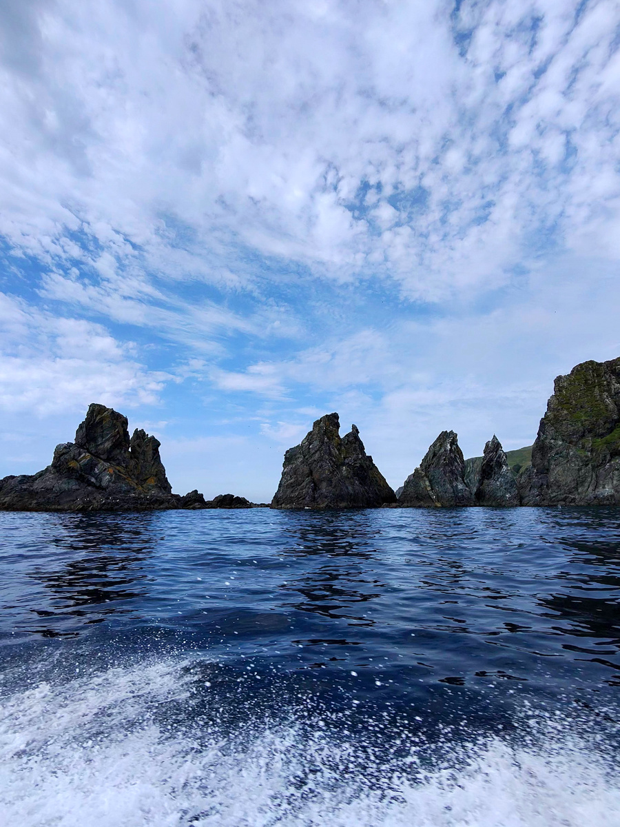 Мыс Пальчатый