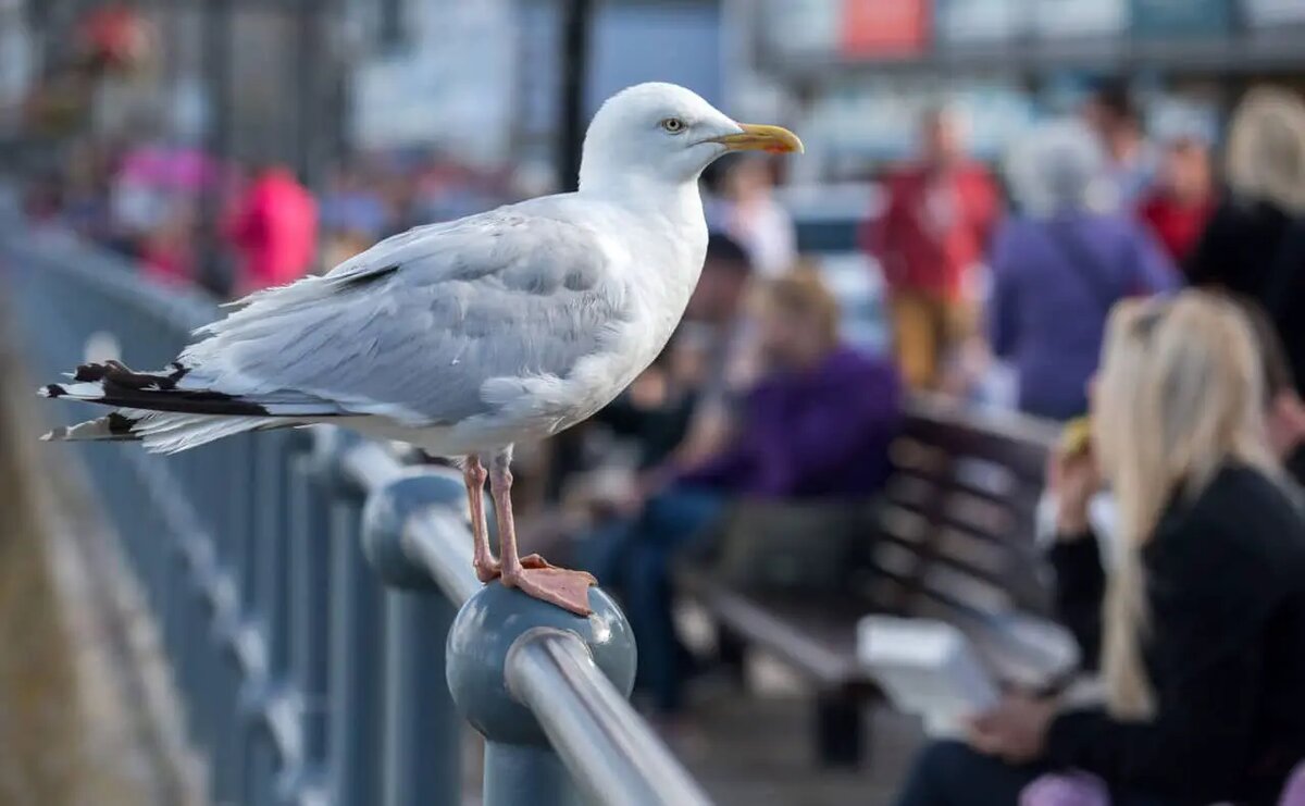    Фото: naked-science.ru Полина Белоусова
