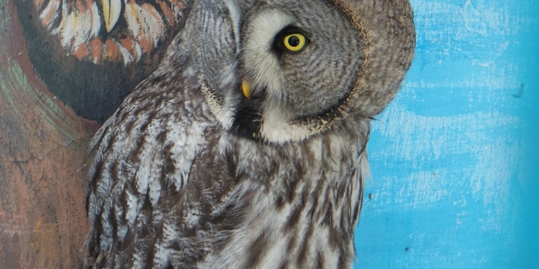 Ангарск, Дом Пионеров