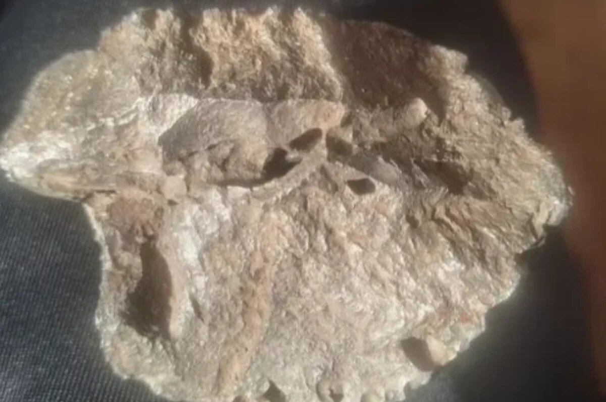    Осколки за 40 млн.