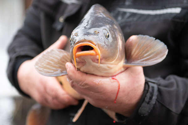 Sebastian Kahnert/Global Look Press  