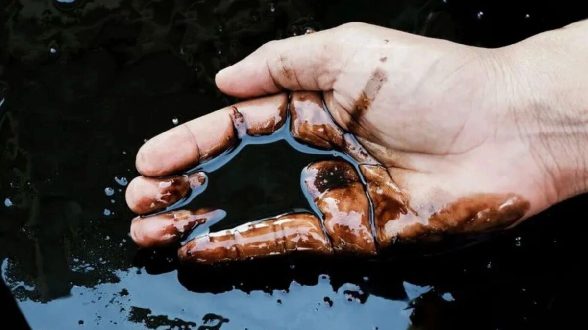    Фото: Pix One/Shutterstock/Fotodom