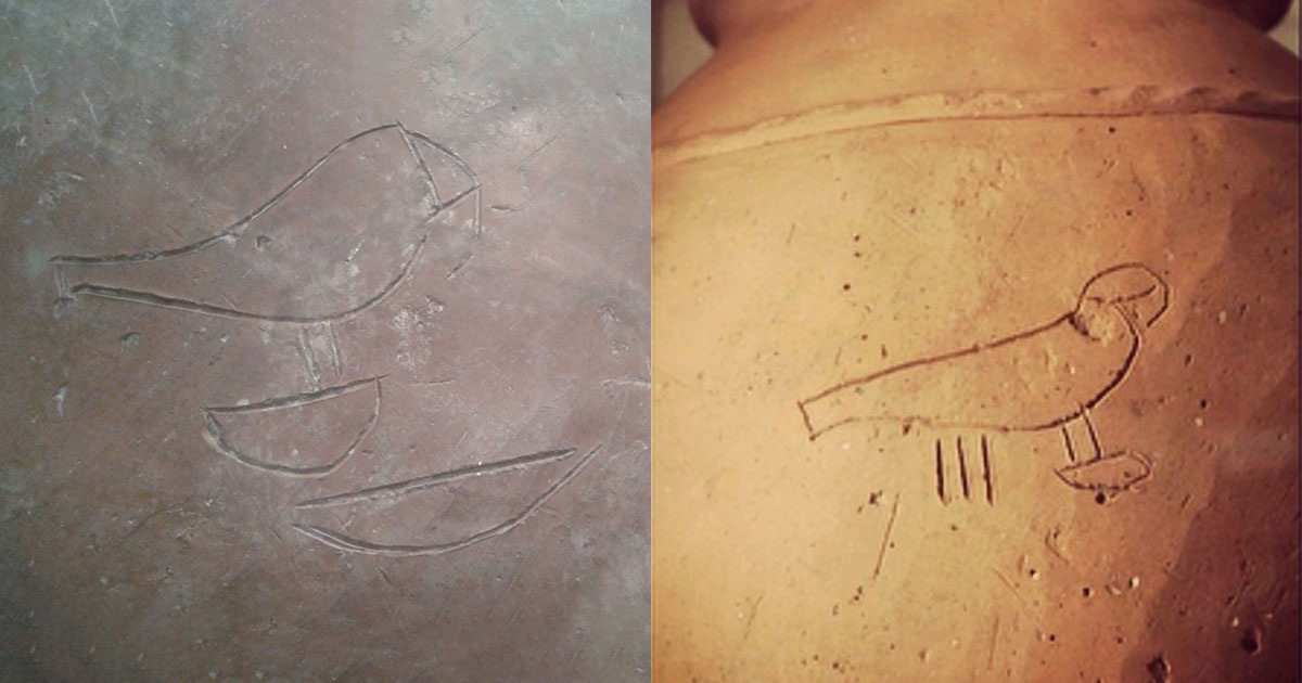 Akhenatenator / Wikipedia