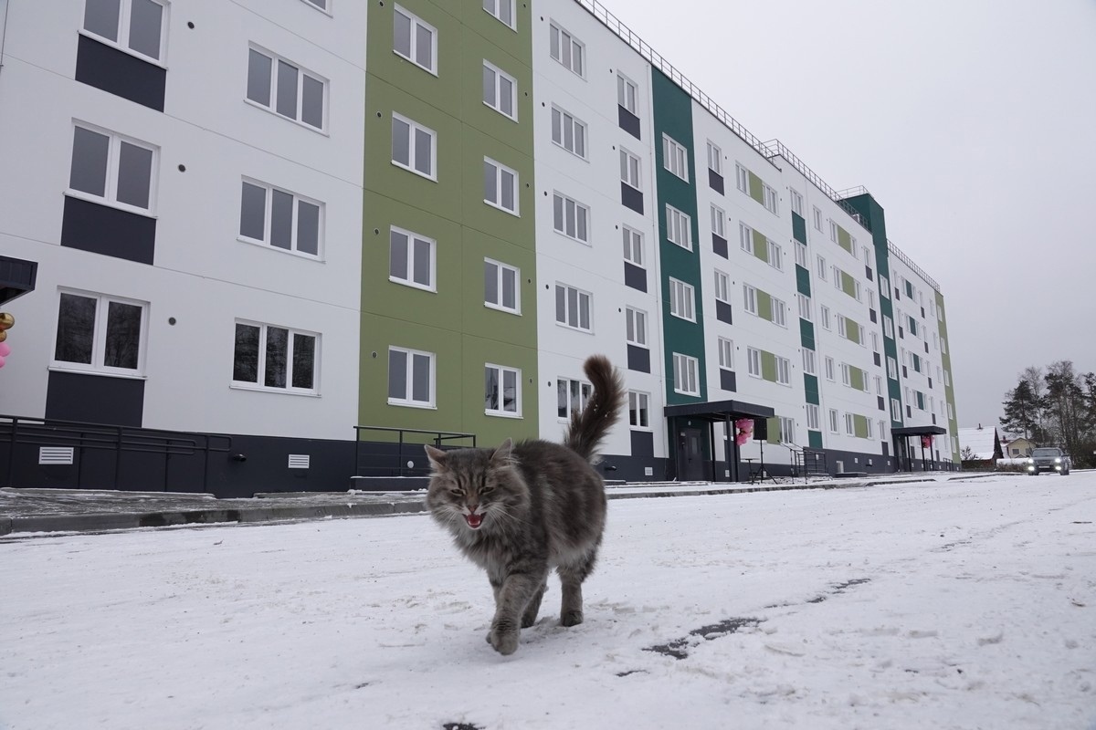    Фото: "Республика" / Максим Смирнов