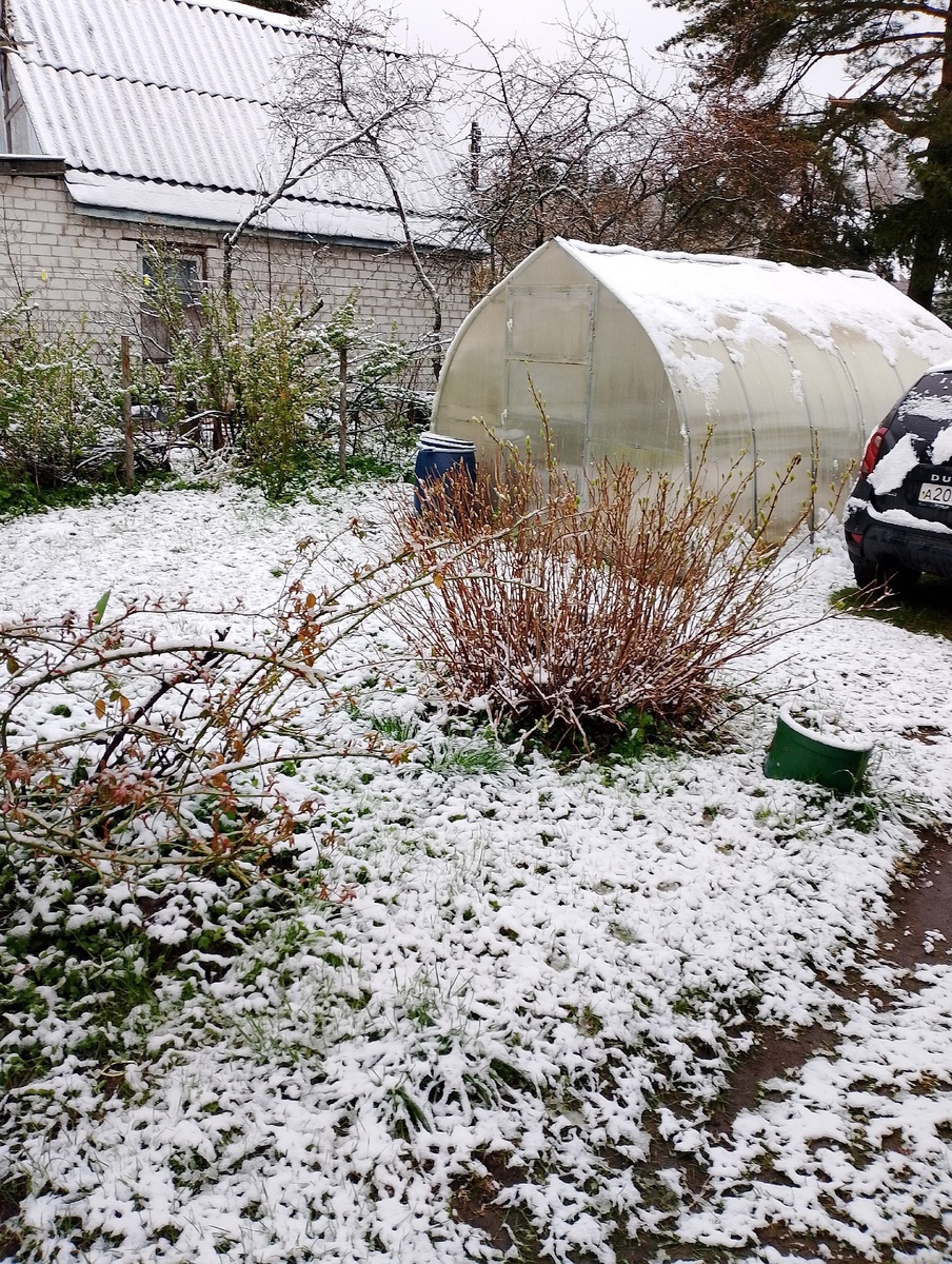 Дача в начале мая. Фото автора 