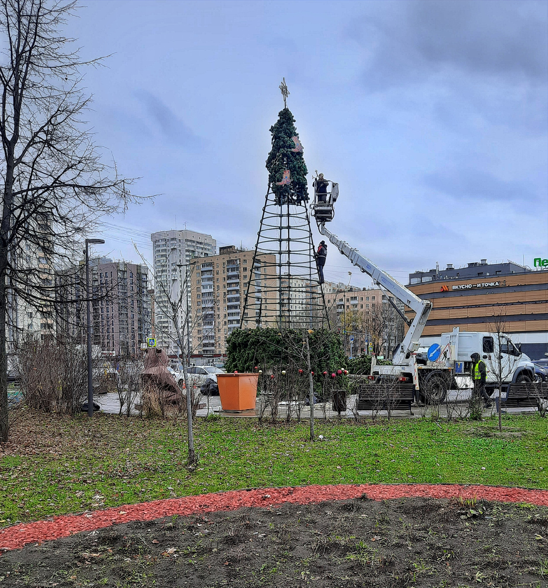 Все фотографии в статье мои