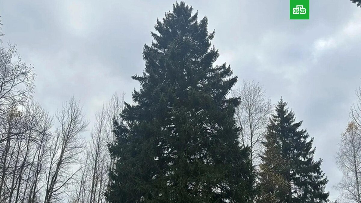    Фото: пресс-служба Управления делами президента