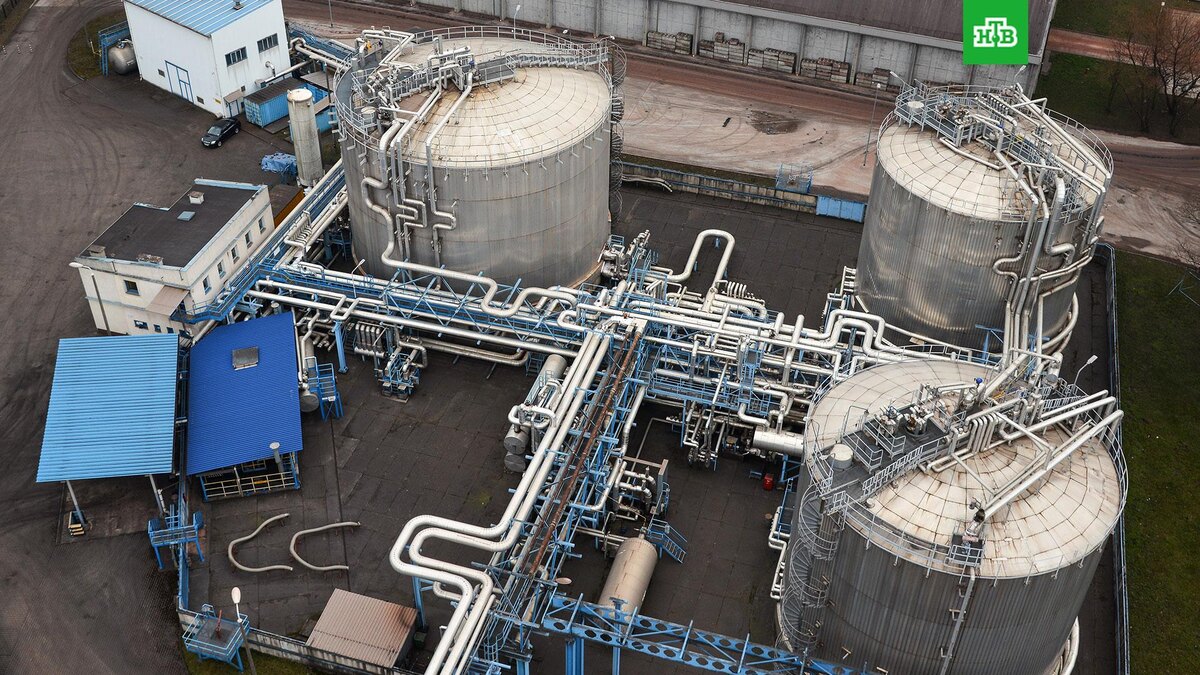    Фото: РИА Новости © 2025, Алексей Витвицкий