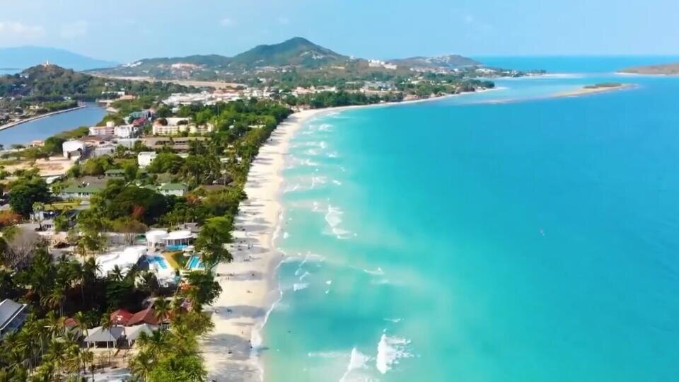 Фото: © Кадр из программы "Невероятно интересные истории", РЕН ТВ