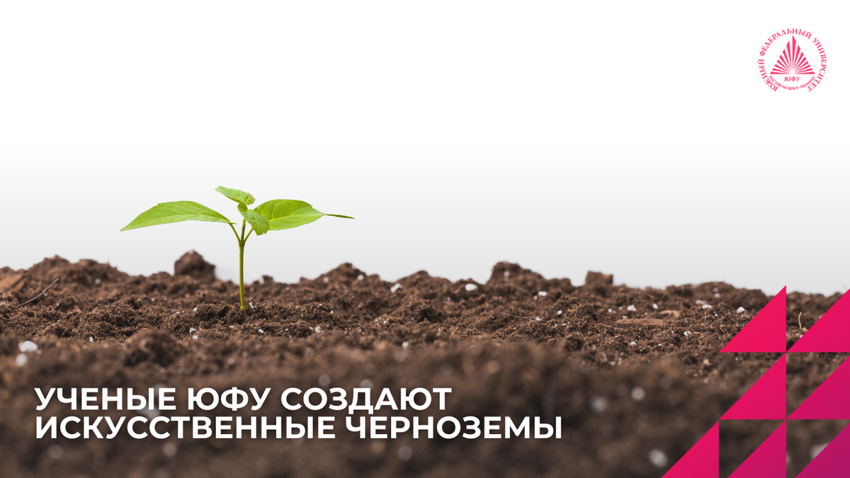 Фото: freepik.ru