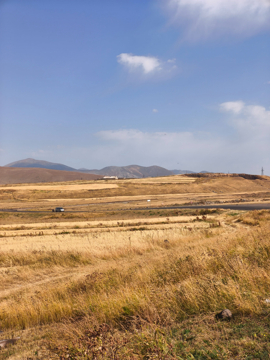 Высушенные поля