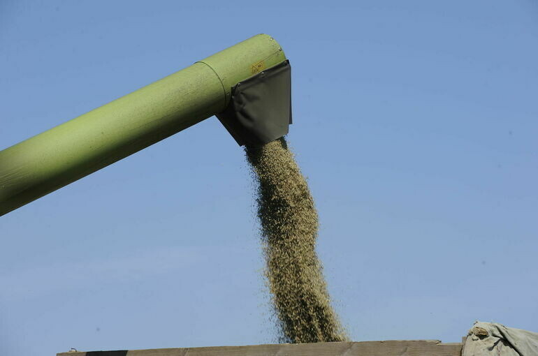   Юрий Инякин/«Парламентская газета»