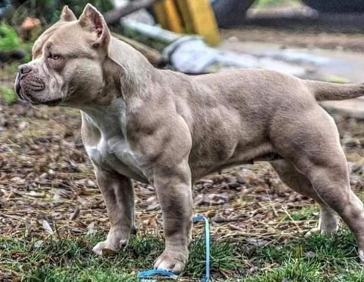 Источник: pinterest.com