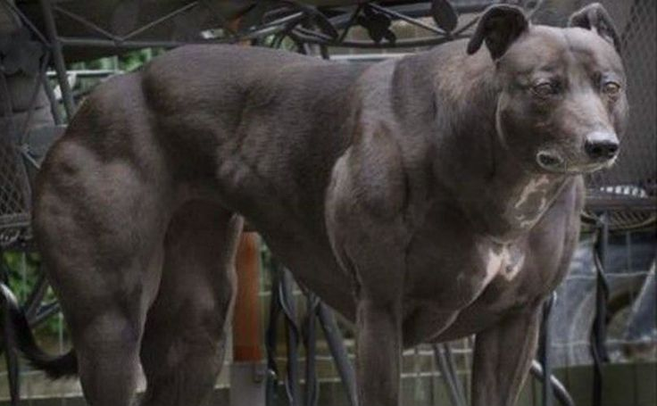 Источник: pinterest.com