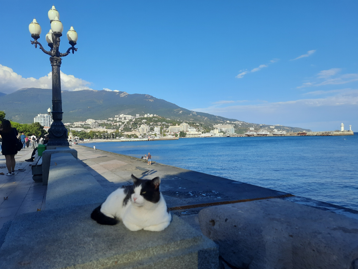 На ялтинской набережной год назад